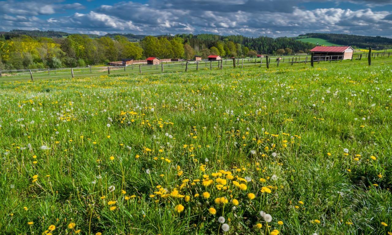 ホテル Ranch Jestrebice Hermanicky エクステリア 写真