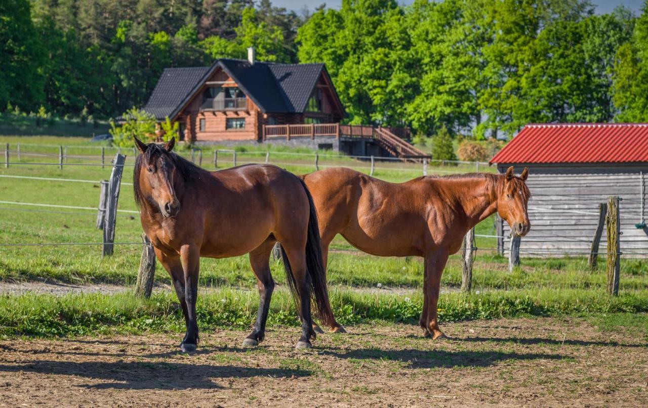 ホテル Ranch Jestrebice Hermanicky エクステリア 写真
